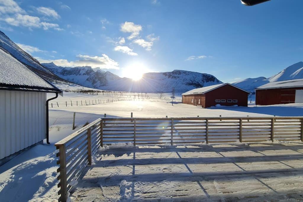 Arctic Lodge Tromvik With Jacuzzi Tromso Ngoại thất bức ảnh