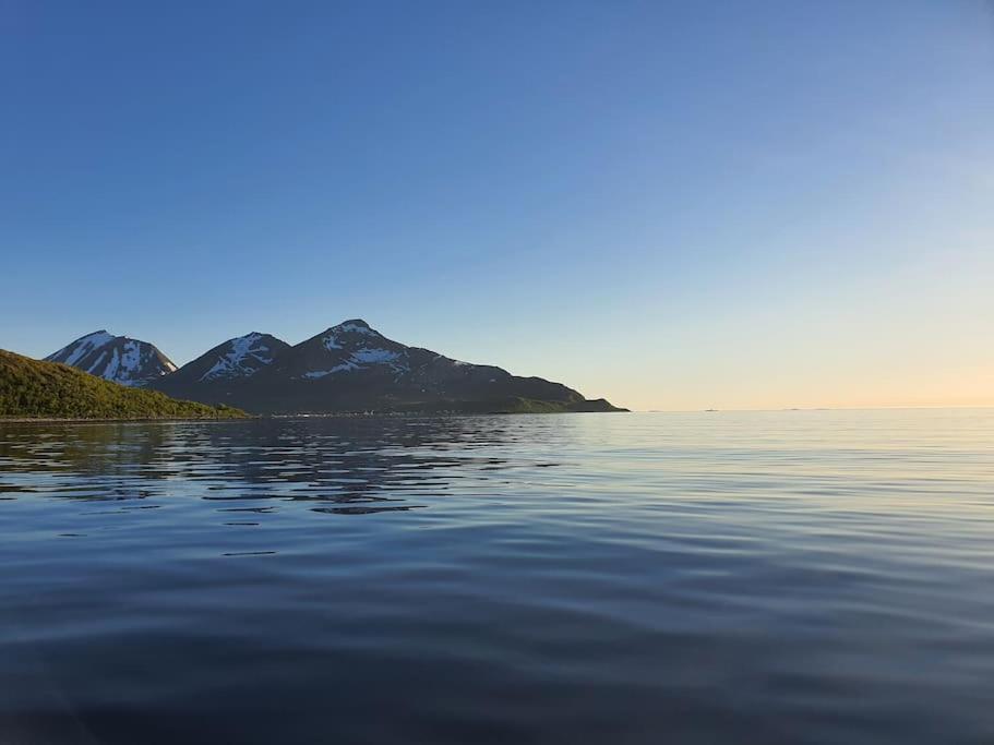 Arctic Lodge Tromvik With Jacuzzi Tromso Ngoại thất bức ảnh